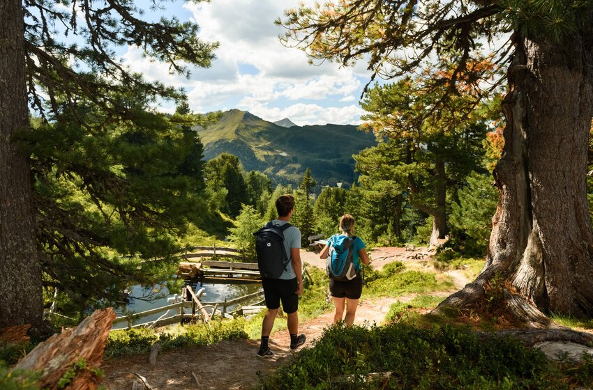 Two hikers with backpacks on forest trail at Graukogel, overlooking mountains and small water channel in summer | © Gasteinertal Tourismus GmbH