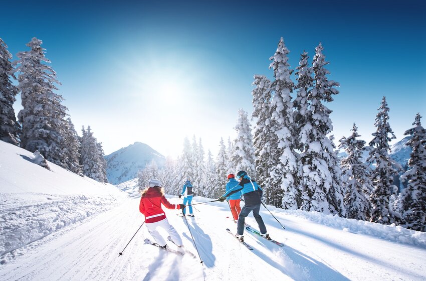 Four skiers ride down a sunlit slope through a snow-covered forest, surrounded by sparkling powder snow in Ski amadé. | © Ski amadé GmbH