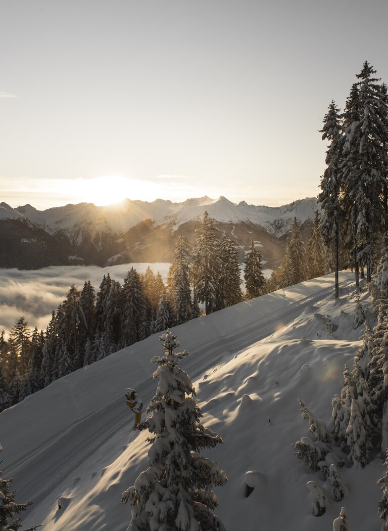Snow-covered fir trees on a hillside with a winter trail, valley fog and the rising sun above the Alps. | © Gasteinertal Tourismus GmbH, Manuel Marktl
